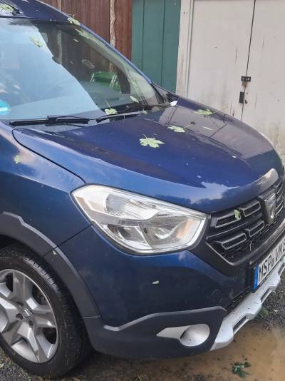 }

Vom Heckfenster des Autos meiner "Herbergsmutter" hier kann man das nicht behaupten. Das Verbundglas total delaminiert ... und ein faustgroßer kompletter Durchschlag. Viele Dachfenster von Häusern in der Ortslage hat's wohl auch erwischt. 

Einfach nur krass.

[<6>]

{{tag>reisebericht